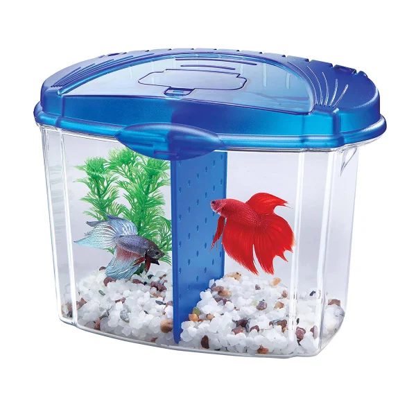 Aquarium Starter Kit